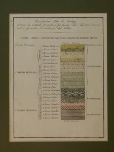 Marmocchi. 1842. Schematic geological column. ‘Recentisssime Idee de Geologi intorno