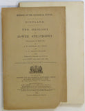 Sheet memoir 85. (1902). Hinxman, L.W. and Wilson, J.S.G. The Geology of Lower Strathspey. Glasgow: HMSO