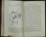 Bonney, T.D. (1902). Volcanoes, their Structure and Significance. London: John Murray, 2nd edition, xvi + 355 pp + 13 plates