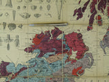 Geikie, Archibald (1864). Geological Map of the British Isles. Edinburgh: W.&amp; A.K. Johnston. 1st edition. Scale 1:890,000