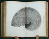 Buckland, William. (1836). Geology and Mineralogy, Considered with Reference to Natural Theology. 2 volumes, 1st edition