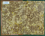 Geikie, A. (1885). Text-book of Geology. London: Macmillan, 2nd edition, xvi + 992 pp. Hardback