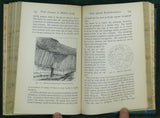 Green, A.H. (1884). First Lessons in Modern Geology. Oxford: Clarendon Press, 1st edition, viii + 212 pp. Hardback presentation copy