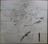 Greenland. Preliminary Geological Map of the Fiskenaesset Region (1972). Geological Survey of Greenland. Folded b/w map, 1:100,000