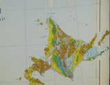 Japan (1956).Geological Map of Japan. Tokyo: Geological Survey of Japan. Colour lithograph on linen-backed paper. 1:2,000,000