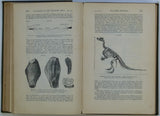 Judd, John W. (ed.)(1896) . The Student’s Lyell: a Manual of Elementary Geology. London: John Murray, 635pp. Hardback,