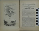 Lyell, Charles (1850). ‘On Craters of Denudation, with Observations on the Structure and Growth of Volcanic Cones’ extract from the QJGS