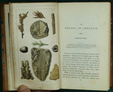 Mantell, Gideon. (1844). Medals of Creation; or, First Lessons in Geology, and in the Study of Organic Remains. London: Henry G. Bohn, 1st edition, 2 vols