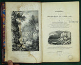 Mantell, Gideon. (1833). The Geology of the South-East of England. London: Longman et al, 1st edition,