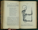 Miller, Hugh.(1857). The Testimony of the Rocks. Edinburgh: Thomas Constable, 16th edition