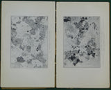 Lowe, E.E. (1926). The Igneous Rocks of the Mountsorrel District; their Relationship to Each Other and to the Charnwood Forest Area. Leicester: