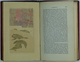 Nicol, James (1844). Guide to the Geology of Scotland. Edinburgh: Oliver and Boyd. 1st edition,