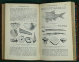 Page, David. (1873). Introductory Text-book of Geology. London: William Blackwood,10th edition, 220 pp. Hardback deluxe
