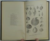 Reid, Clement. (1890). The Pliocene Deposits of Britain, vol.3 The Upper Chalk. Memoir of the Geological Survey of the United Kingdom. London: