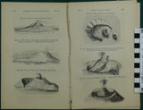 Scrope, George Poulett, (1859), ‘On the Mode of Formation of Volcanic Cones and Craters’ extract from the QJGS