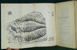 Murchison, Roderick I. 1854. Siluria. A History of the Oldest Known Rocks Containing Organic Remains. London: John Murray, 1st edition.