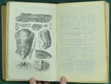 Murchison, Roderick I. 1854. Siluria. A History of the Oldest Known Rocks Containing Organic Remains. London: John Murray, 1st edition.
