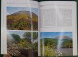 Abatino, Elio.(n.d.). Vesuvio; a Volcano and its History. Naples: Carcavallo Publishing. 64pp. PB, A4 format.