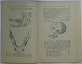 Sussex (1914). Dawson, Charles and Woodward, A.S. ‘Supplementary Note on the Discovery of a Palaeolithic Human Skull and Mandible at Piltdown