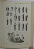 Sussex (1914). Dawson, Charles and Woodward, A.S. ‘Supplementary Note on the Discovery of a Palaeolithic Human Skull and Mandible at Piltdown