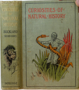 Buckland, Frank (c.1900), Curiosities of Natural History, Macmillan, London, xxii + 360pp.