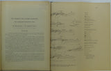 Beck, Heinrich, and Vetters, Hermann. (1904). ‘Geologische Karte der Kleinen Karpaten’, 1:75,000 scale,   91 x 69cm, colour printed