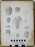 Burmeister, Herman. 1846. The Organization of Trilobites, deduced from their Living Affinities