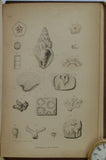 Parkinson, James, 1833. Outlines of Oryctology, An introduction to the Study of Fossil Organic Remains; especially of those Found in the British Strata, and their Connection with the Formation of the Earth
