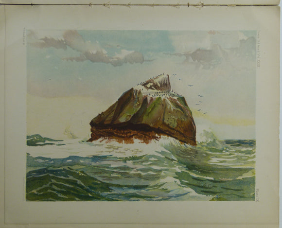 Anon. (1897). ‘Notes on Rockall Island and Bank, with an account of the Petrology of Rockall, offprint from The Transactions of the Royal Irish Academy