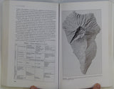 Carracedo, JC and Day, S. (2002). Canary Islands; Classic Geology in Europe 4. Harpenden: Terra Publishing, 1st edition. 294pp. PB.