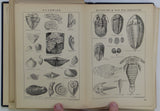 Woodward, HB. (1904). Stanford’s Geological Atlas of Great Britain, London: Edward Stanford Ltd. 2nd edition.